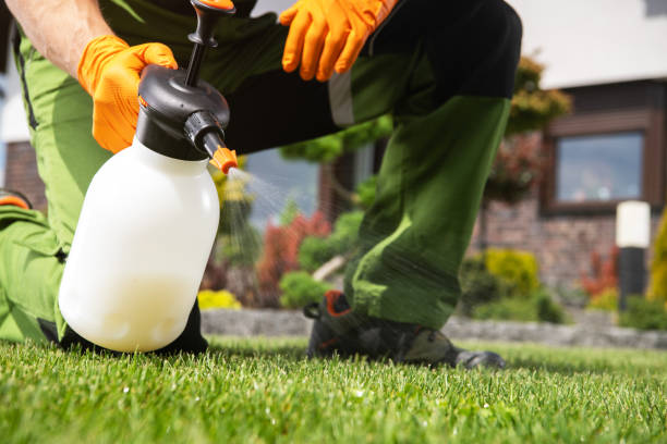 Wildlife Control Services in Florence, CO
