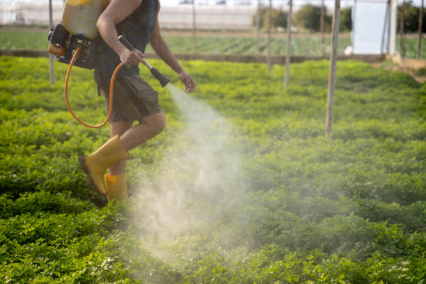 Best Exterminator Services  in Florence, CO