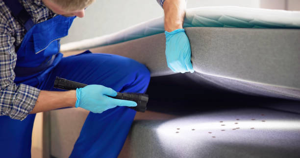 Best Bed Bug Extermination  in Florence, CO