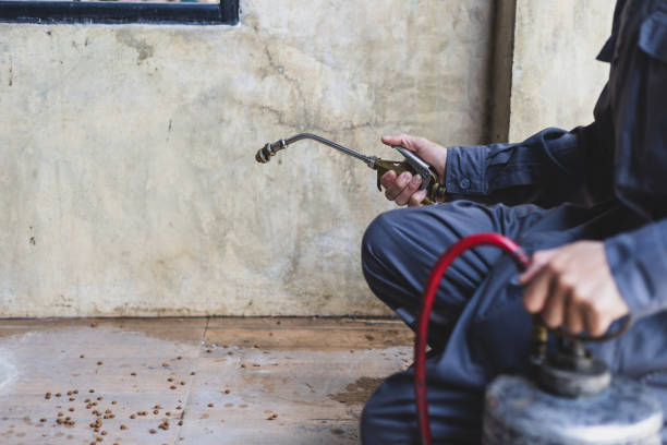 Best Emergency Pest Control  in Florence, CO