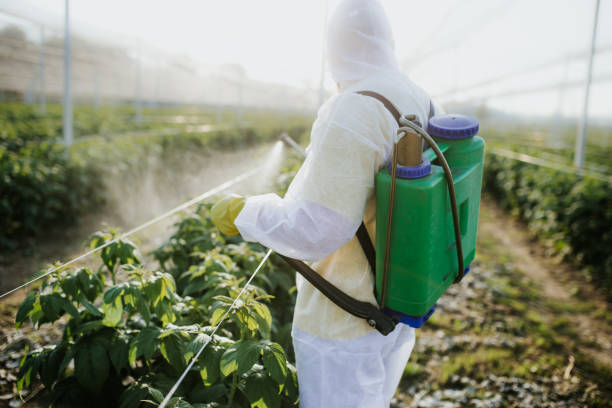 Best Local Pest Control Services  in Florence, CO